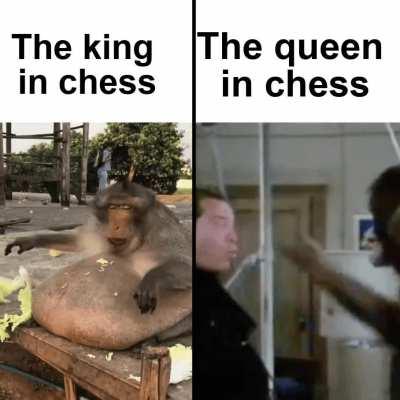 The king just doesn’t care