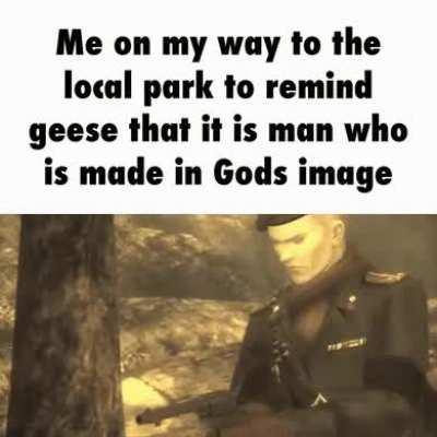 i fucking hate geese those little fucking shitters that do nothing but honk at you and steal your fucking fries (rule)