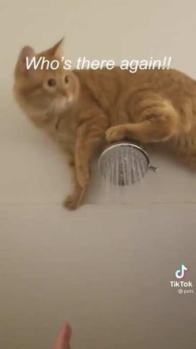 Shower repair kitty! 🚿 🧼