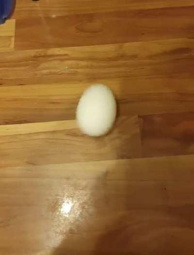 This happens when you spin an egg