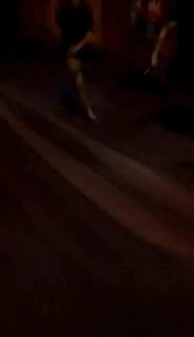 Watermelon explosion gone wrong