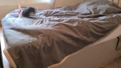 Trying to explain to my colleagues that this is what is going on in the background of my work calls...