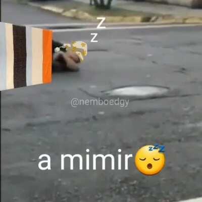 a mimirr zzzz