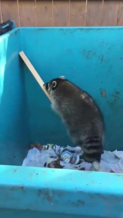 Nice attempt at tool use. I wish the video was longer