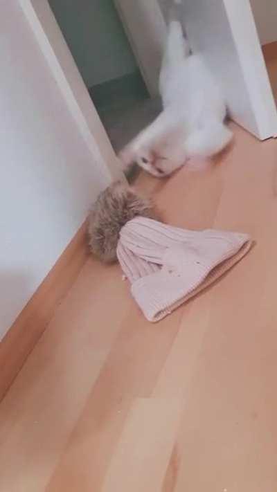 I must attack this foreign object