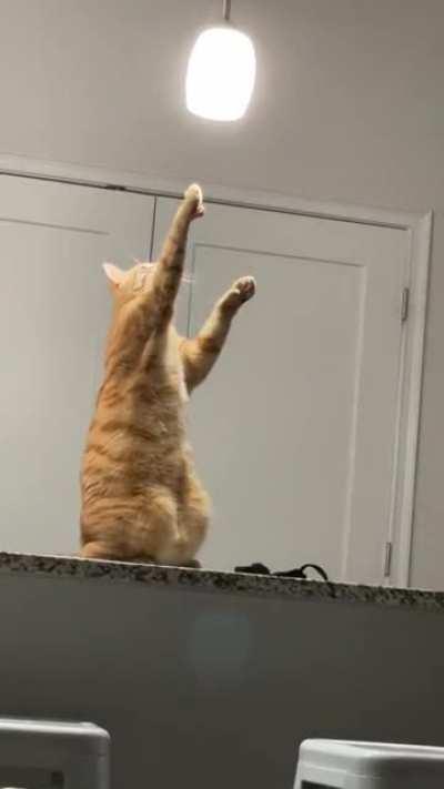 "Am I dead? Is that heaven?"