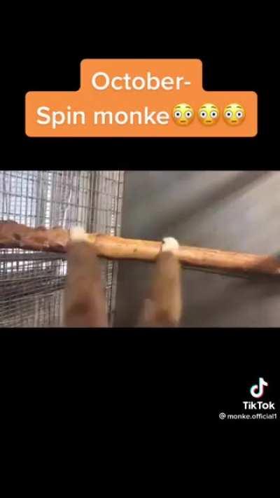 What monkey are you based on the month you were born