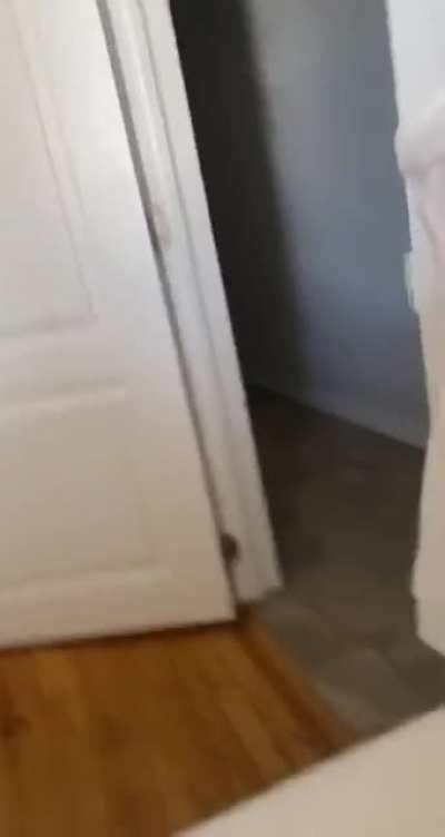 Not so much startled as thoroughly discombobulated.