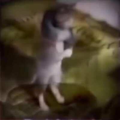 No hay beso antes del matrimonio