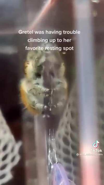 Everyone should be like this