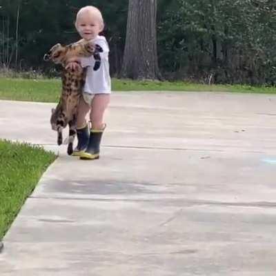 Most patient cat ever