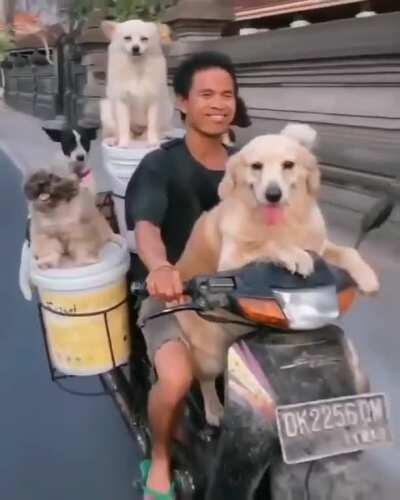 Did someone call for a taxi?...