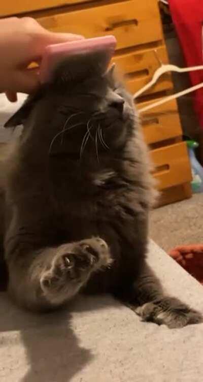 Oh that hits the spot!