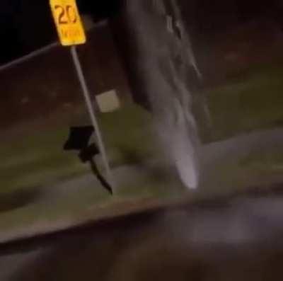 Which astrology sign would do this