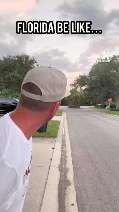 Bitch, Get Out Of My Way!