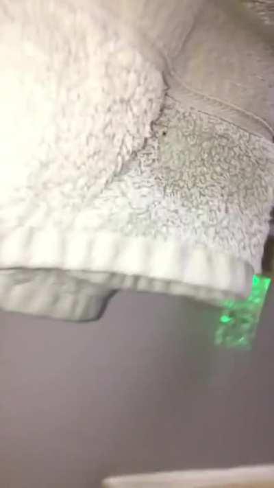 So I couldn’t find Mango