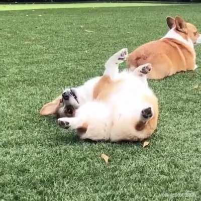 He is flexible and would be good at gymnastics or breakdancing.