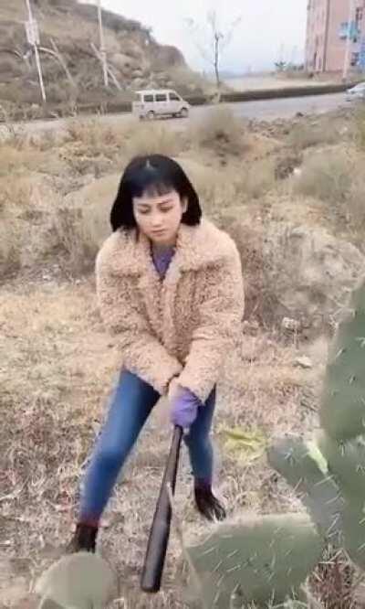 'I'm so bad, I'm gonna damage a plant for absolutely no reason'