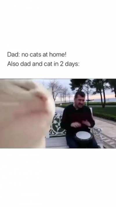 Só precisa de dois dias....