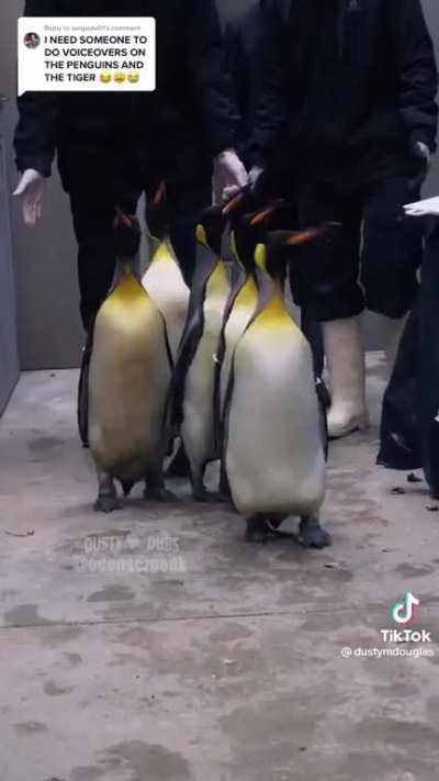 *in Candace’s voice* Mommmm the penguins are planning their escape again