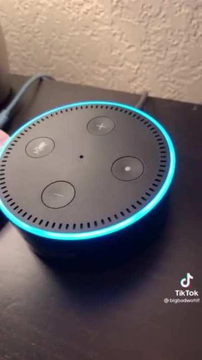 Posting videos that will fuel my nightmares day 5