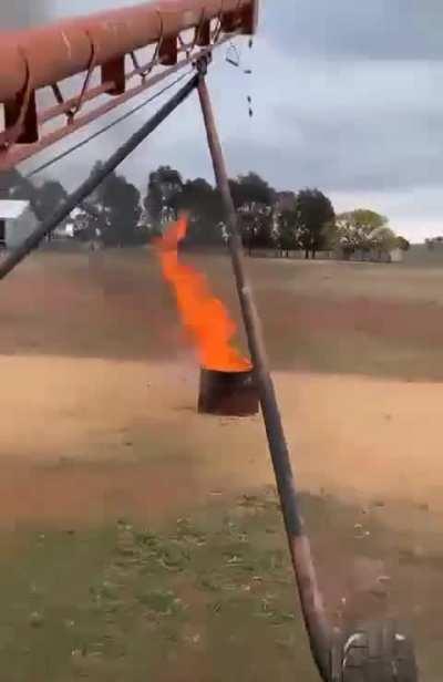 How one farmer in Australia is tackling the current mouse plague