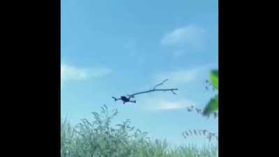 Patriot Stick version.