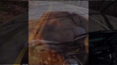 too much bar input = certified retard moment