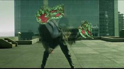 What fighting Mactera feels like sometimes