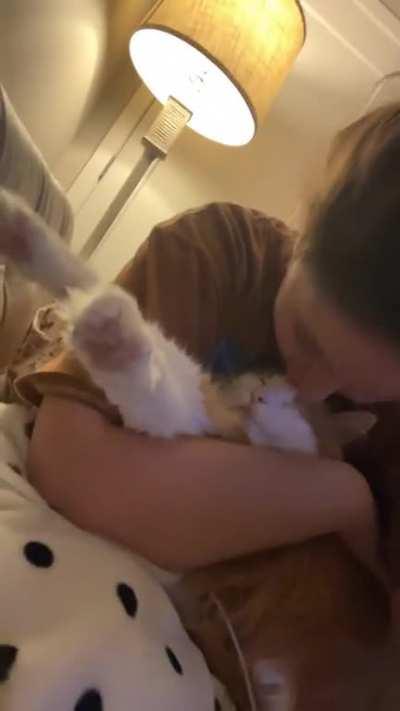 I swear the orange & white ones are even dumber🧡 but soooo sweet🧡🧡