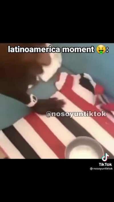 Saudades da época que o muquinha comia barro 😭😭