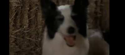 Quien adivine primero se lleva todo los upvotes