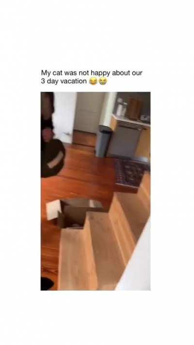 What a lovely welcome.