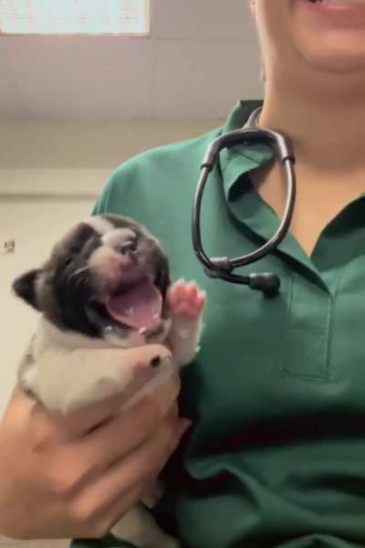 Fear of medicine is in his genes 😆