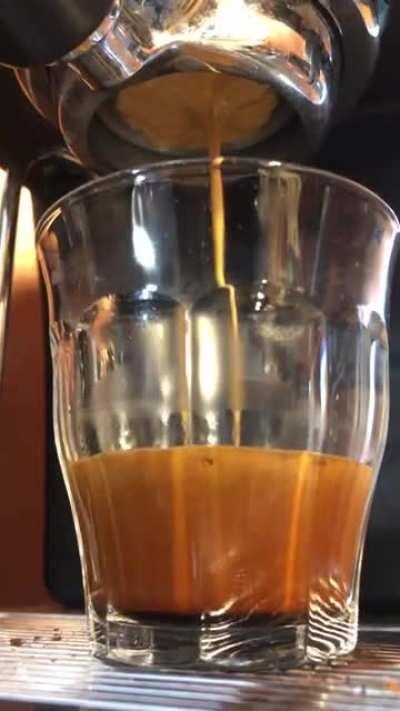 I could watch that crema settle for ever. (Fiorentino Roast from Schamong, pulled with my Ascaso Dream PID)