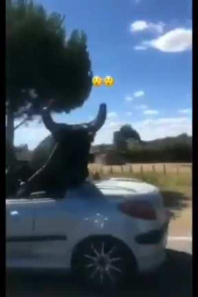 По-моему, это все равно не так круто, как бухать водку со своим медведем