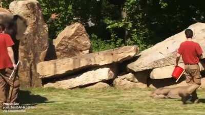 Mother failed to wakeup her baby