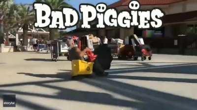 more like good pigies! owned