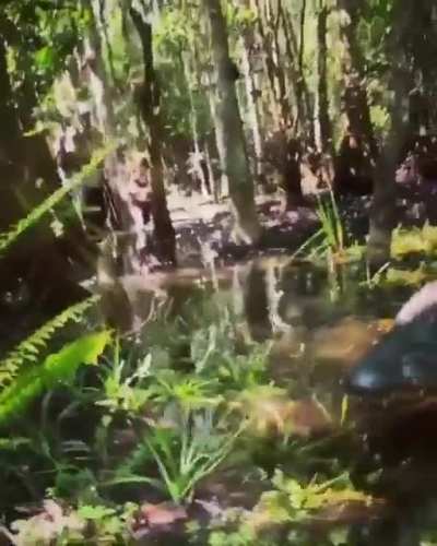 Че-то ссыкотно