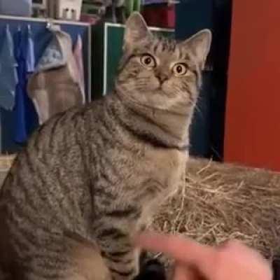 I'm giving you the Statue treatment