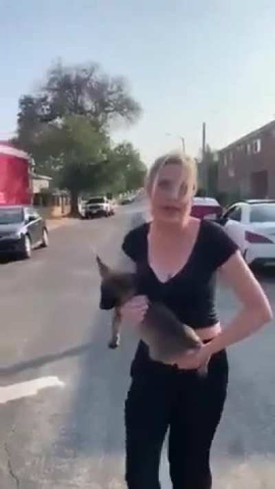 Irkçı orospu karı elindeki köpeği adama fırlatıyor