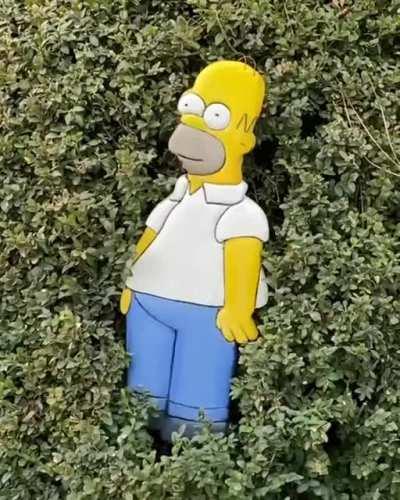 I finished my Homer and put it to use