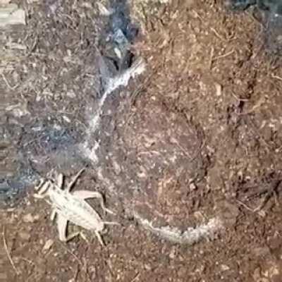 Добрый вечер