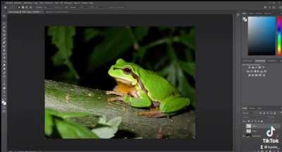 bentley coupe riding with stars