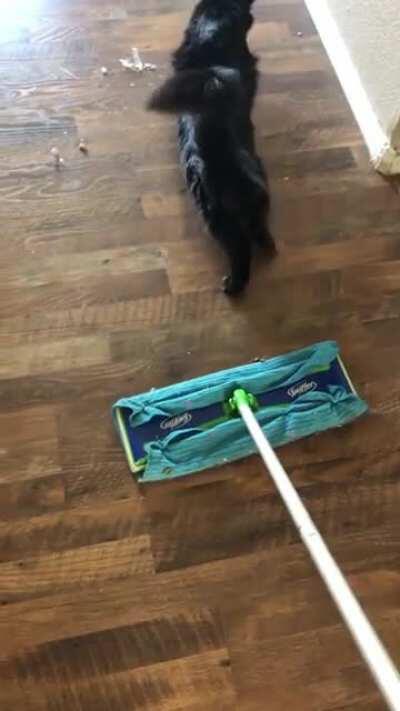 She followed me through the entire house. Just to keep pulling this nonsense.