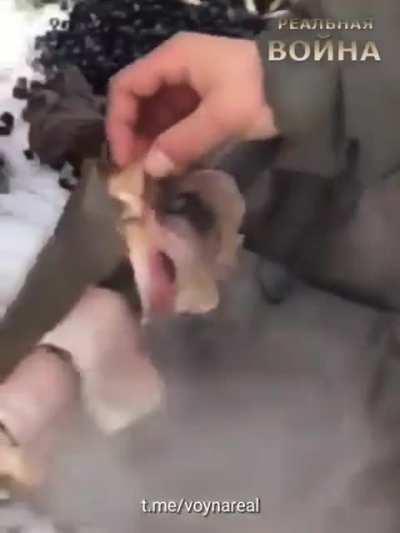 The real reason we need fully automatic machine guns......