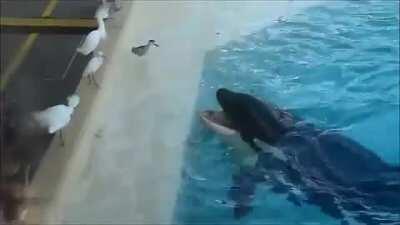 Quando a esmola &eacute; demais, desconfie.