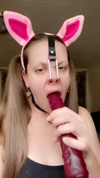 Do you pervs like my pet 🐷?