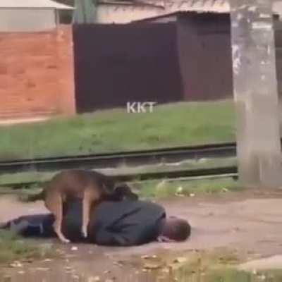 Bro wtf is going on 😂