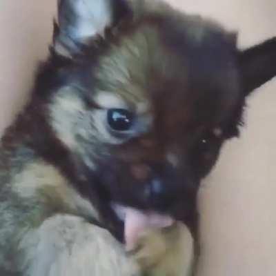 A little wholesomeness for your enjoyment